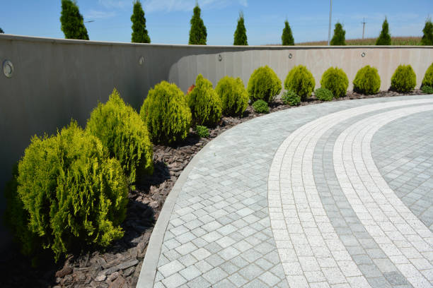 Best Decorative Driveway Pavers  in Tallahassee, FL